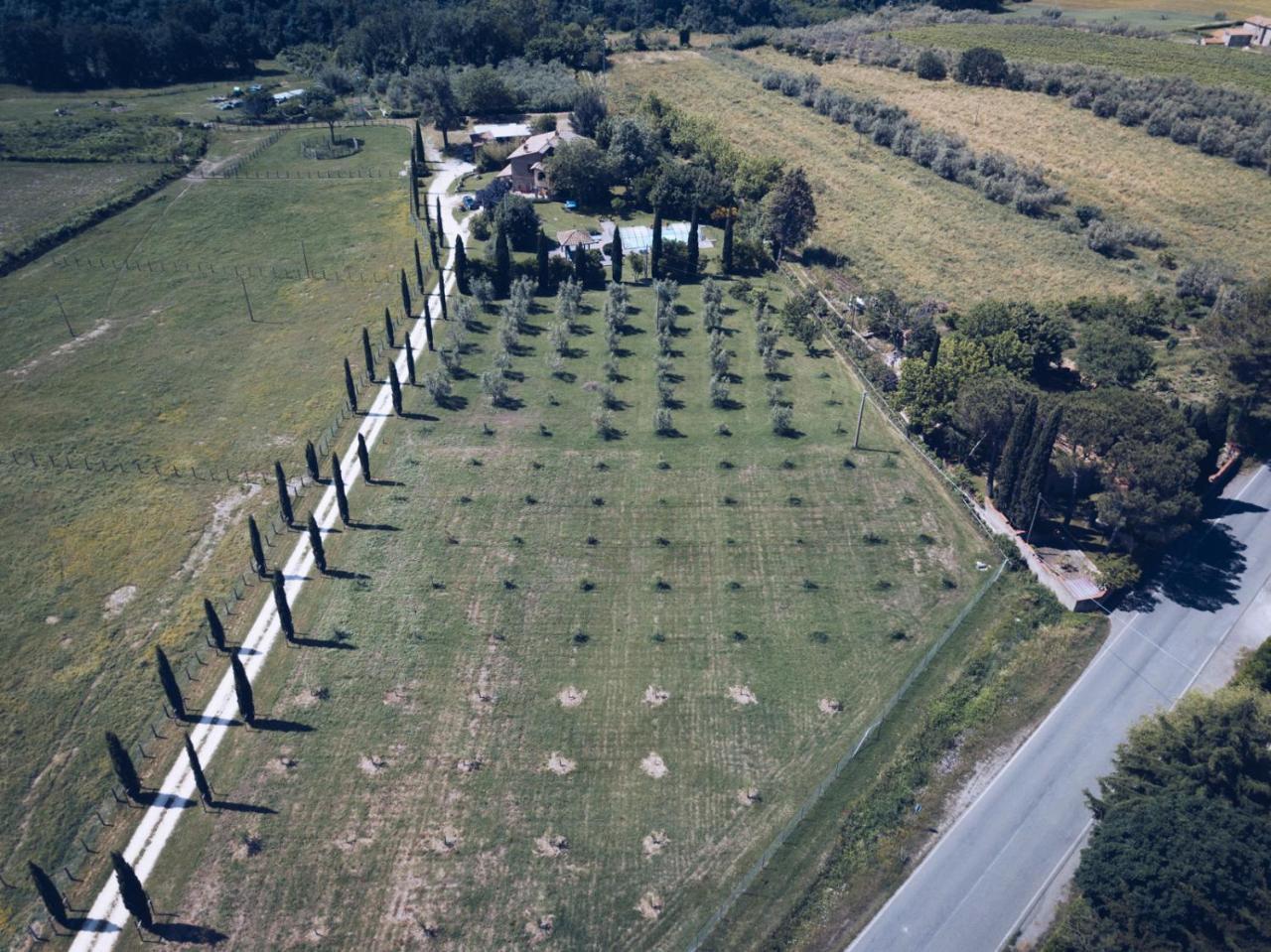 Agriturismo Locanda Pantanello Питильяно Экстерьер фото
